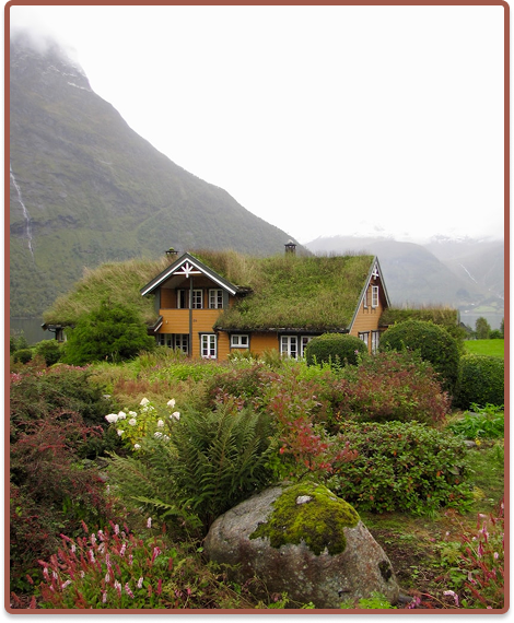 Une maison dans la nature