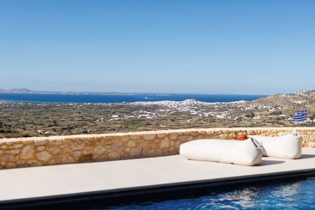 vue depuis la terrasse avec piscine et poires en visuel