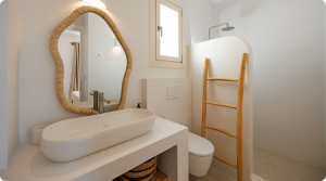 salle de bain chambre Véga (lavabo, miroir, toilettes et douche)