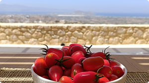 photo de tomates cerises du jardin face a la vue